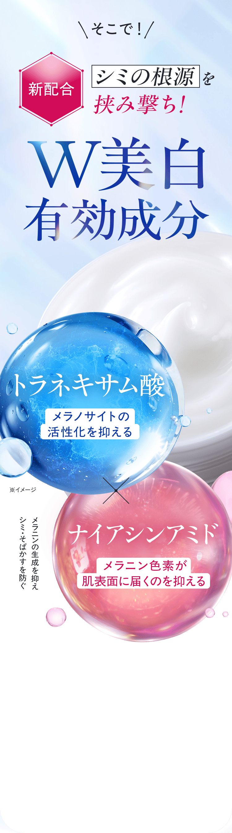 そこで!新配合シミの根源を挟み撃ち!W美白 有効成分